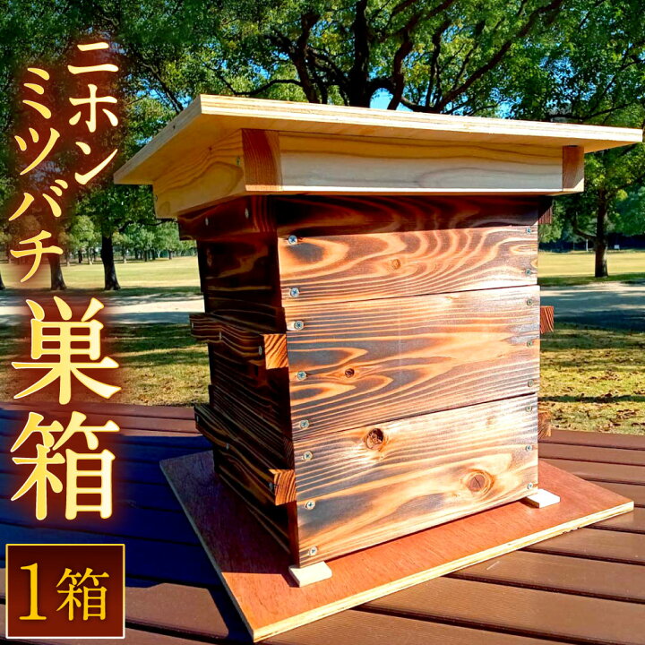 楽天市場】【ふるさと納税】ニホンミツバチ 巣箱 1セット 完成品 