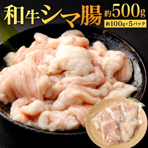 yӂ邳Ɣ[ŁzHׂĉI ãV} v500g ( 100g×5pbN )   z V}`E Y  z ē Ă ^pbN }Ⓚ Ⓚ  B