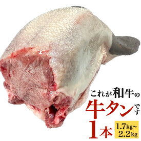 【ふるさと納税】〈冷蔵〉幻の牛タン これが和牛の牛タンです 1本 (1.7kg～2.2kg) 牛タン 牛肉 お肉 タン肉 まるごと 一本 和牛タン 和牛 新鮮 鮮度 タン ブロック 焼肉 バーベキュー BBQ 厚切り タン先 タン元 タン中 冷蔵 九州産 福岡県北九州市