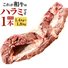 【ふるさと納税】〈冷蔵〉幻のハラミ これが和牛のハラミ(横隔膜)です 1本 (1.4kg～1.8kg) 牛ハラミ 牛肉 お肉 ハラミ まるごと 一本 和牛 新鮮 鮮度 ブロック 焼肉 バーベキュー BBQ 横隔膜 冷蔵 九州産 送料無料