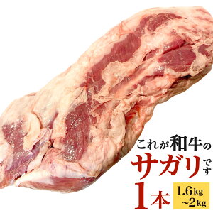 yӂ邳Ɣ[Łzq①r̃TK ꂪãTKł 1{ (1.6kg`2kg) TK   TK ܂邲 { a VN Nx ubN ē o[xL[ BBQ ① BY  