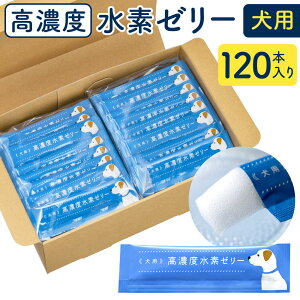 yӂ邳Ɣ[ŁzZx f[[ p qIׂr31{ / 120{ 1{5g f  NHi Tv  [Og f⋋   Y   yVX[p[SALE 9