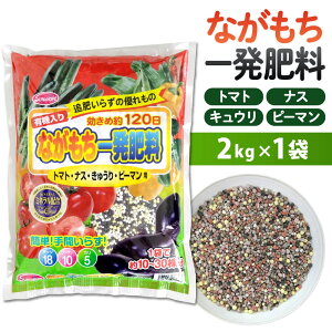 yӂ邳Ɣ[ŁzȂꔭ엿 g}gEiXEイEs[}p 2kg×1 120 엿  ƒ؉ L@ K[fjO  kBs