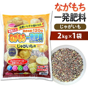 yӂ邳Ɣ[ŁzȂꔭ엿 Ⴊp 2kg×1 120 엿  ƒ؉ L@ K[fjO 킢  kBs