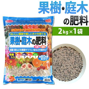 yӂ邳Ɣ[ŁzʎE؂̔엿 2kg×1 60 엿  ǔ L@ ʕ k I t[c    ƒ؉ L@ K[fjO  kBs