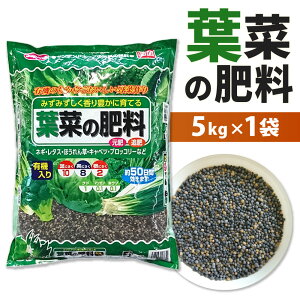 yӂ邳Ɣ[Łzt؂̔엿 5kg×1 엿 50 L@  t L@ lM ^X ق Lxc ubR[  ǔ ƒ؉ | K[fjO  kBs