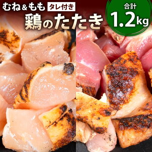 yӂ邳Ɣ[ŁzykBԂ؂^^Lz{̂(ނˁ) ^t ނ(300g×3pbN) (300g×1pbN) v1.2kg Jbgς 2  { ^^L t { {ނ y 