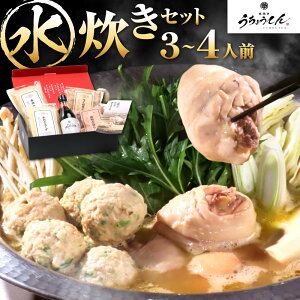 yӂ邳Ɣ[Łz傤Ă Zbg 3`4lO {(400g) X[v(600cc×2) {(200g) ||(300mL) lߍ킹    { ̃X[v Ɛ t Ⓚ 