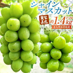 yӂ邳Ɣ[Łzyʌz_ƒ VC}XJbg 1.4kg(2`3[) L@엿͔| kBsᏼY ʕ t[c { VN }XJbg 嗱 Ȃ ① kBs y2025N9{