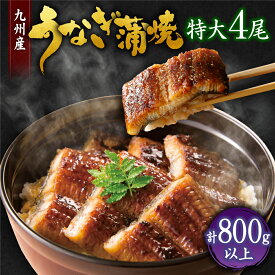 【ふるさと納税】九州産うなぎ蒲焼特大4尾（1尾あたり200〜235g）