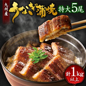 国産 うなぎ 1kgの人気商品 通販 価格比較 価格 Com