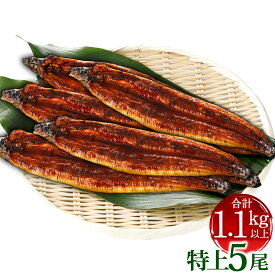 【ふるさと納税】選べる 九州産 うなぎ 蒲焼 特上 ( 1尾あたり220〜235g ）2尾／3尾／4尾／5尾 たれ・山椒付き 鰻 ウナギ 蒲焼き 大きい 冷凍 国産 送料無料 鹿児島、宮崎、熊本等産うなぎ原料使用