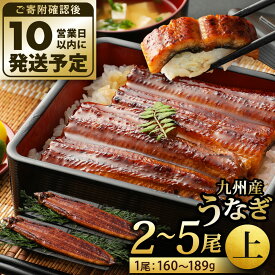 【ふるさと納税】九州産 うなぎ 蒲焼 上(1尾あたり160〜189g) 2尾／3尾／4尾／5尾 特製たれ・山椒付き 鰻 ウナギ 蒲焼き 大きい 冷凍 国産 送料無料 鹿児島、宮崎、熊本等産うなぎ原料使用