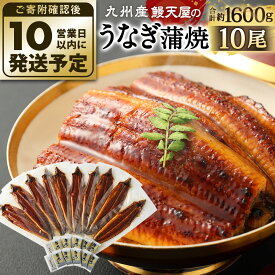【ふるさと納税】鰻天屋の九州産 うなぎ 蒲焼 10尾 セット（1尾約160～189g） 合計約1600g以上 特製たれ・山椒付き 鰻 ウナギ 蒲焼き 冷凍 国産 送料無料 鹿児島、宮崎、熊本等産うなぎ原料使用