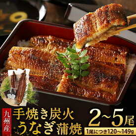 【ふるさと納税】選べる 九州産 手焼き炭火 うなぎ 蒲焼 (1尾あたり120〜149g) 2尾／3尾／4尾／5尾 たれ・山椒付き 鰻 蒲焼き 土用の丑の日 夏 冷凍 国産 送料無料 鹿児島、宮崎、熊本等産うなぎ原料使用