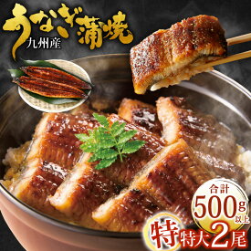 【ふるさと納税】九州産 うなぎ蒲焼 特特大 ＜選べる＞2尾/3尾/4尾/5尾 (1尾あたり250～266g) たれ・山椒付き 鰻 ウナギ 蒲焼き 特大 大きい 冷凍 国産 送料無料 鹿児島、宮崎、熊本等産うなぎ原料使用