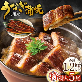 【ふるさと納税】九州産 うなぎ蒲焼 特特大 ＜選べる＞2尾/3尾/4尾/5尾 (1尾あたり250～266g) たれ・山椒付き 鰻 ウナギ 蒲焼き 特大 大きい 冷凍 国産 送料無料 鹿児島、宮崎、熊本等産うなぎ原料使用