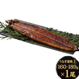 【ふるさと納税】九州産 うなぎ 蒲焼 上(1尾あたり160〜189g) 1尾 / 2尾／3尾／4尾／5尾 特製たれ・山椒付き 鰻 ウナギ 蒲焼き 大きい 冷凍 国産 送料無料 鹿児島、宮崎、熊本等産うなぎ原料使用