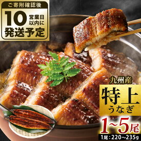 【ふるさと納税】選べる 九州産 うなぎ 蒲焼 特上 ( 1尾あたり220〜235g ）1尾／2尾／3尾／4尾／5尾 たれ・山椒付き 鰻 ウナギ 蒲焼き 大きい 冷凍 国産 送料無料 鹿児島、宮崎、熊本等産うなぎ原料使用 16000円～32000円 1万6000円～3万2000円