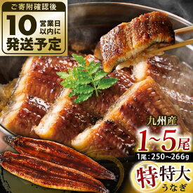 【ふるさと納税】九州産 うなぎ蒲焼 特特大 ＜選べる＞1尾/2尾/3尾/4尾/5尾 (1尾あたり250～266g) たれ・山椒付き 鰻 ウナギ 蒲焼き 特大 大きい 冷凍 国産 送料無料 鹿児島、宮崎、熊本等産うなぎ原料使用