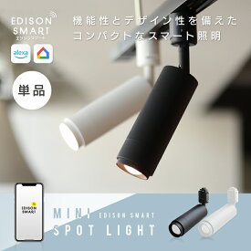【ふるさと納税】エジソンスマート ミニスポットライト 福岡市【ブラック】