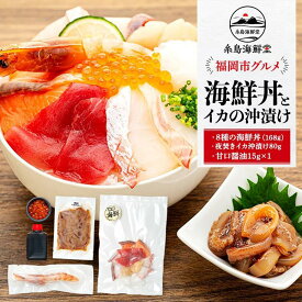 【ふるさと納税】福岡市グルメ糸島海鮮堂の8種の海鮮丼・沖漬けセット 各1袋 | 魚 海鮮 海鮮丼 食品 おすすめ 送料無料
