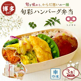 【ふるさと納税】【冷凍】煮込みハンバーグ弁当3食セット 無添加 無農薬米 有機・特別栽培野菜 九州 福岡 国産食材 | 食品 加工食品 人気 おすすめ 送料無料