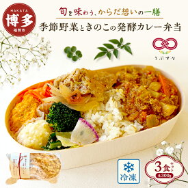 【ふるさと納税】【冷凍】季節野菜ときのこの発酵カレー弁当3食セット 無添加 九州 福岡 国産食材 オーガニック | 食品 加工食品 人気 おすすめ 送料無料
