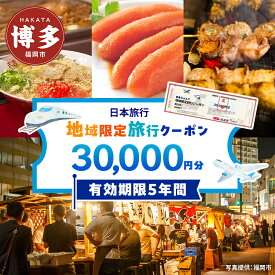 【ふるさと納税】旅行 福岡 日本旅行 地域限定 旅行クーポン 30,000円分 福岡県 福岡市 施設利用券 利用券 トラベル クーポン 旅行券 宿泊券 宿泊 チケット ホテル 旅館 観光 国内旅行 出張 予約