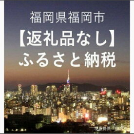 【ふるさと納税】【ふるさと納税】福岡県福岡市への寄付（返礼品はありません） 寄付額100000円