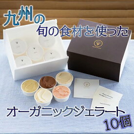 【ふるさと納税】【福岡市の返礼品】九州の旬の食材を使用したオーガニックジェラート　10個