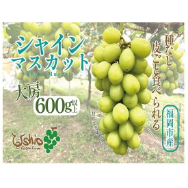 【ふるさと納税】【北海道・沖縄・離島配送不可】【2024年8月以降順次発送】福岡市産シャインマスカット | シャインマスカット マスカット ブドウ 種なし 種なしブドウ フルーツ 果物 くだもの 食品 人気 おすすめ 送料無料