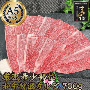 yӂ邳Ɣ[Łz󏭕ʌIIIJr a A5 700g