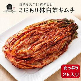 【ふるさと納税】【福岡市】「こだわりキムチの横山商店」株白菜キムチ2kg | 食品 発酵 加工食品 人気 おすすめ 送料無料