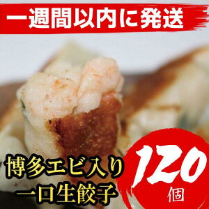 yӂ邳Ɣ[Łzy1TԈȓɔIzLq  Gr Lq 120 (15×8pbN) t | GrLq ⓀLq CVLq Lq ӂ邳Ɣ[Lq 傤 M[