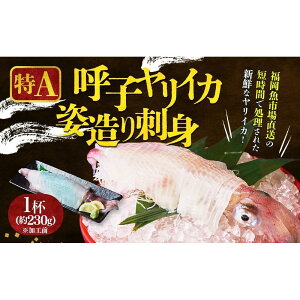 yӂ邳Ɣ[ŁzyszA@ĎqCJphg@1t(230gHO) | Hi HHi lC  