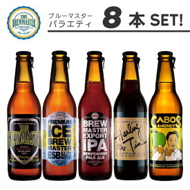 【ふるさと納税】福岡市発クラフトビール　ブルーマスター　5種バラエティセット　330ml×8本 | お酒 さけ ビール　クラフトビール　人気 おすすめ 送料無料 ギフト