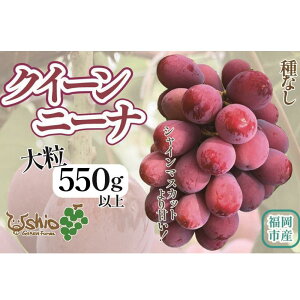 yӂ邳Ɣ[ŁzԂǂ sYNC[j[i 550g (1[)ykCEEszy2025N8ȍ~z | ʕ t[c 嗱 Ԃǂ  uhE Hה  Hi lC 
