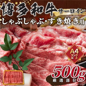 yӂ邳Ɣ[ŁzyIʁzyA4`A5zaT[CԂԂĂp@500g |   ɂ Hi Y lC   Mtg
