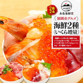 【ふるさと納税】福岡市グルメ 糸島海鮮堂の海鮮2種（いくら増量）セット | 福岡県 福岡市 福岡 九州 返礼品 支援 お取り寄せグルメ 取り寄せ グルメ 食品 お取り寄せ 魚介類 魚介 海産物 海の幸 水産 海鮮丼 海鮮 丼の具 海鮮丼の具 イクラ いくら 緊急支援