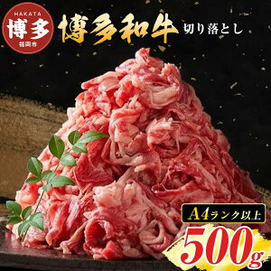 yӂ邳Ɣ[Łza A4Nȏ ؂藎Ƃ 500g | ӂ邳Ɣ[  o lߍ킹 ӂ邳Ɣ[   BY јa a Ԑg  lC p ϔt Mtg v[