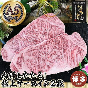 【ふるさと納税】肉汁したたる 極上 サーロインステーキ2枚 (合計500g) 博多和牛A5ランク