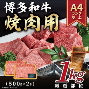 yӂ邳Ɣ[ŁzyA4`A5zaēpio͌[X̓j1kgi500g×2pj |   ɂ Hi Y lC   Mtg