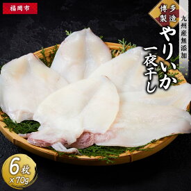 【ふるさと納税】博多製造　九州産無添加やりいか一夜干し | 福岡県 福岡市 福岡 九州 返礼品 楽天ふるさと 納税 お取り寄せグルメ 取り寄せ グルメ 食品 お取り寄せ 魚介類 魚介 海産物 海の幸 水産 干物 ひもの 一夜干し 緊急支援