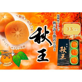 【ふるさと納税】＜2026年発送分・先行予約＞秋王　3玉　約900g | フルーツ 果物 くだもの 食品 人気 おすすめ 送料無料