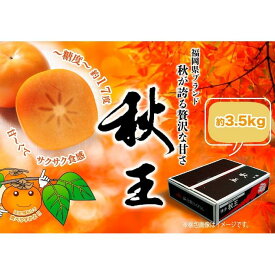 【ふるさと納税】＜2026年発送分・先行予約＞秋王　約3,5kg 　 | フルーツ 果物 くだもの 食品 人気 おすすめ 送料無料