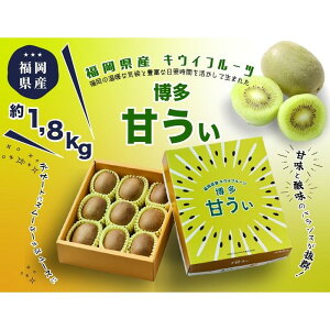 yӂ邳Ɣ[ŁzuÂvґʎ 1.8kg | t[c ʕ  Hi lC  