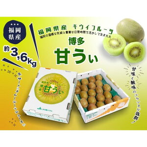 yӂ邳Ɣ[Łz2026NEs\񁄔uÂvґʎ@3.6kg | t[c ʕ  Hi lC  