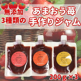 【ふるさと納税】3種類のいちごジャム 無添加 あまおうイチゴ 200g×3袋 手作り 国産 チューブ パウチ入り | 食品 加工食品 人気 おすすめ 送料無料