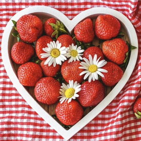 【ふるさと納税】福岡県産完熟あまおういちご（約270g×4パック） | フルーツ 果物 くだもの 食品 人気 おすすめ 送料無料